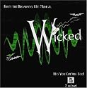 Wicked: From the Hit Broadway Musical - Hits You Can Sing Too!