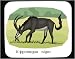 Decorated Mouse Pad with deer, niger, africa, sable, antelope, hippotragus, horns