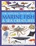 Marine Fish: An Authoritative Guide to the Fascinating Diversity of Saltwater Aquatic Life