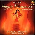 Best of Gypsy Flamenco Andalusia