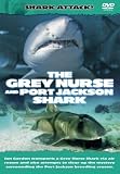 Shark Attack - The Grey Nurse And Port Jackson Shark [DVD]