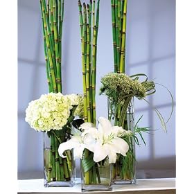 Medium Square Vase