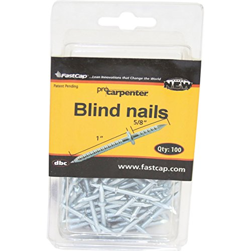 FastCap BLINDNAIL1XKIT Double-ended 1-inch x 5/8-inch Blind Nails, 100 Nails