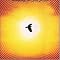 aaahhh!!! the most captivating rock/prog/metal