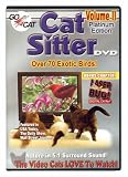 Cat Sitter II DVD