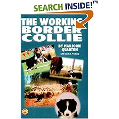 The Working Border Collie