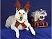 Pet Star Cards - White Shepherd, Gray Cat Christmas