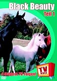 TV Kult - Black Beauty - Folge 1 - Judi Bowker