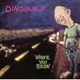Dinosaur Jr - Where You Been