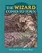 The Wizard Comes to Town (Mercer Mayer Picture Books)