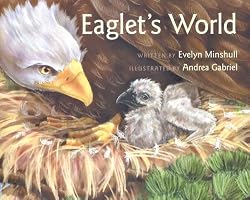 Eaglet's World