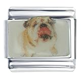 Animal Photo Bulldog Sticking Out Tongue Italian Charms Bracelet Link