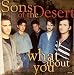 Sons of the Desert - What About You