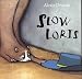 Slow Loris