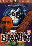 Cat in the Brain [DVD]