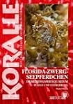 Art f�r Art 14. Florida-Zwergseepferd...