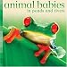 Animal Babies in Ponds and Riv...
