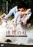 「連理の枝」ガイドDVD~これが最後の恋になる~