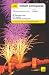 Book Teach Yourself Instant Portuguese (Teach Yourself)