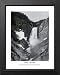 Ansel Adams Yellowstone B/W Photo Picture Framed Art Print