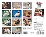 Siamese Cats 2007 Calendar-