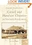 Carroll and Haralson Counties in Vintage Postcards  (GA)   (Postcard History Series)