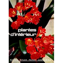 Plantes d'int�rieur, num�ro 28