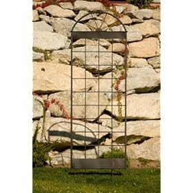 Fanlight Trellis by 