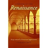 looking at the renaissance essays toward a contextual appreciation