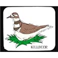 Mouse Pad with brown, killdeer, bird