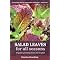 Gardening and Sustainable Living