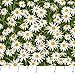 Naturescapes Abundant Garden Yellow Flowers Northcott Cotton Fabric 21846-10