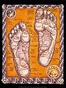 Reflexology Art Poster Print by Robert Rosenthal, 12x16