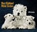 terrier2  - West Highland White Terriers For the Love of