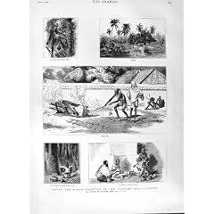 Toddy-Palme-Eingeborener 1882 Yacht-Ceylons Kalkutta Indien