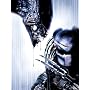 Alien Vs. Predator