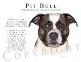 Pit Bull Human Trainer Mouse Pad Dog Mousepad