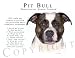 Pit Bull