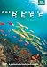 Great Barrier Reef DVD  from 2entertain