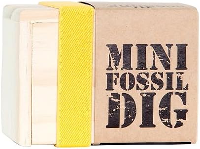Mini Fossil Dig