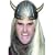 Wikingerhelm Helm Wikinger Vikinger Germanen Germanenhelm