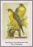 The Brain That Wouldn`t Die: 16x9 Widescreen TV.: Greeting Card: Happy Birthday