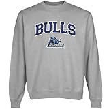 NCAA Buffalo Bulls Logo Arch Applique Crew Neck Fleece Sweatshirt - Ash