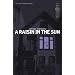 "A Raisin in the Sun"
