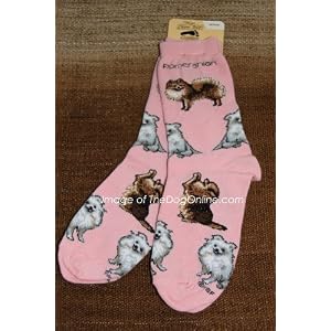 Buy For Bare Feet Pomeranian Large Print Pink Socks by For Bare Feet