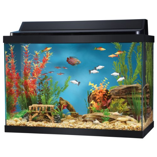 Top Fin 20 Gallon Aquarium Hood Combo Price! commena3