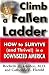 Book Climb a Fallen Ladder: How to Succeed in the New American Workplace