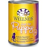 Wellness Complete Health Just For Puppy Chicken & Salmon Natural Wet Canned Dog Food, 12.5-Ounce Can (Pack of 12)