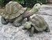 Floating Turtle Small