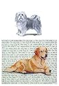 Havanese Glass Cutting Board
